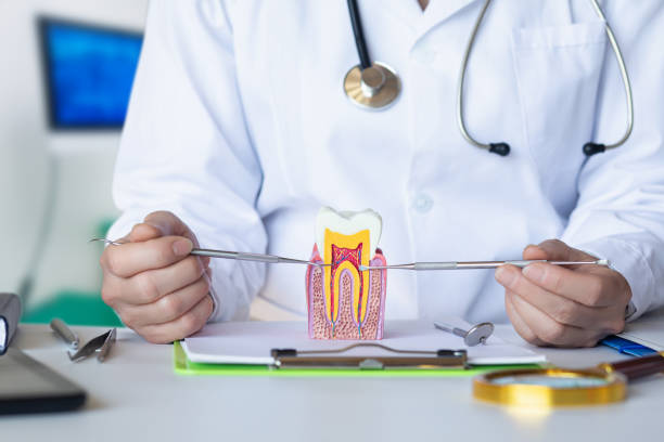 Best 24-Hour Emergency Dentist  in Wd, AR